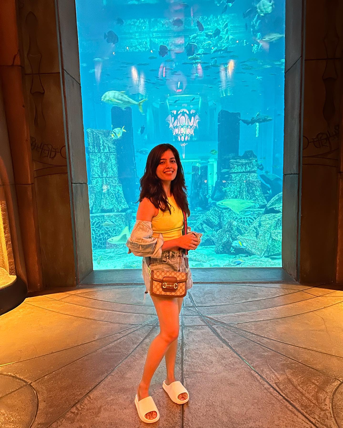 F8hjlYTa4AA8Nql?format=jpg&name=large