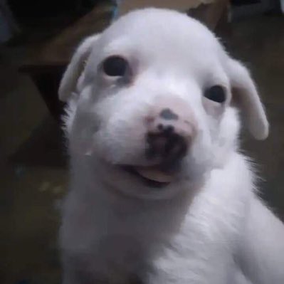 HumUgly's tweet image. #NuevaFotoDePerfil