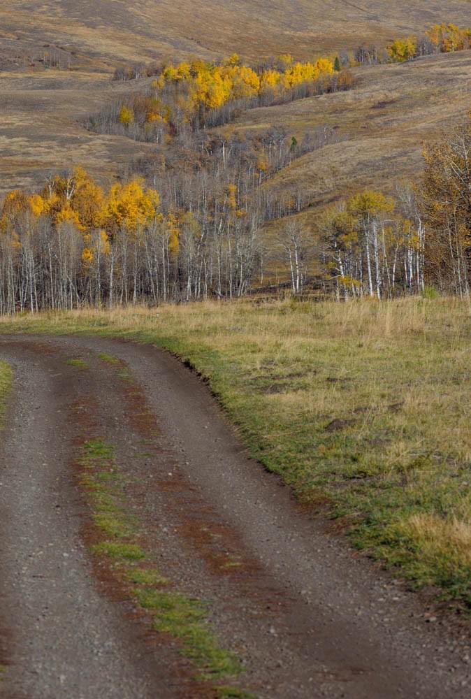 It’s fall in the hills above Merritt  #BritishColumbia #HelloBC #fallcolors