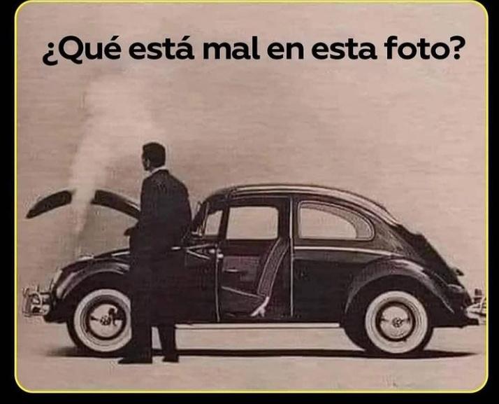 Suricato 💎 tweet media