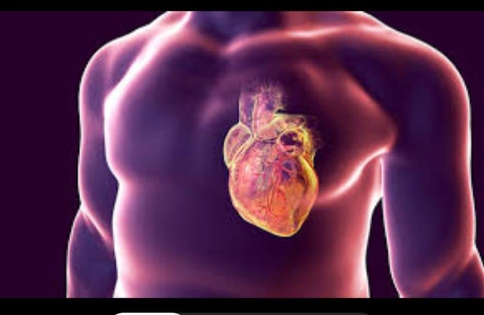 Зүрхний хэм алдалт 2 төрөл байдаг юм бна а. 

Зүрхний шигдээс болох үед олон хүн ганцаараа байдаг тул хүн ухаан алдахаасаа өмнө зүрх нь жигд бус цохилж, ухаан алдах гэж байгаагаа мэдэрч эхэлдэг.
Гэсэн хэдий ч ийм хохирогчид давтан, маш хүчтэй ханиалгахад өөрсдөдөө тусалж чадна.