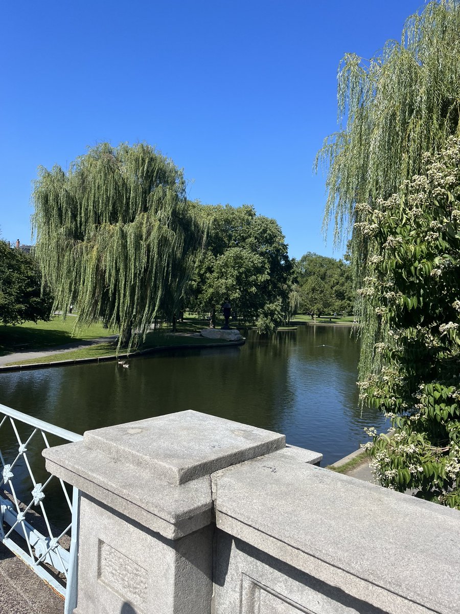 intofolklaur's tweet photo. #augustaday making me miss boston https://t.co/XGdo7Do4KG
