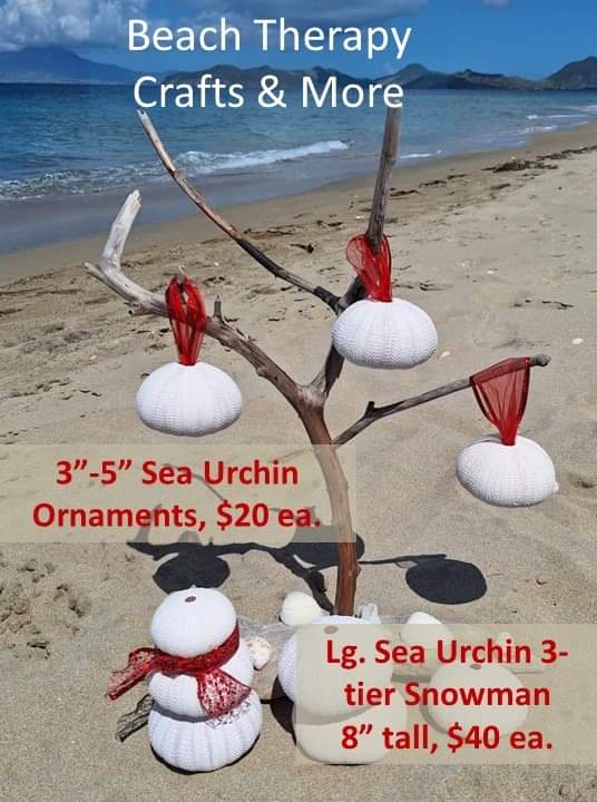 CommprofessorMJ's tweet photo. On FB &amp; IG @BeachTherapyCrafts #SeaUrchins #SeaUrchinSnowman #SeaUrchinOrnament #SeaUrchinShell https://t.co/MqP5znf2w6