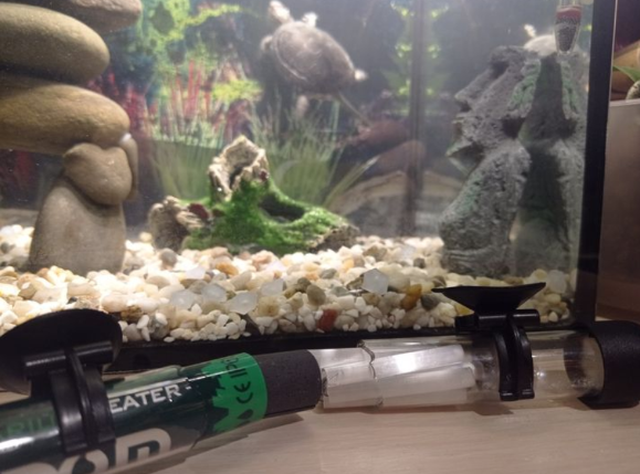 Trader_Mr_Y's tweet photo. Today, my aquarium heater broke. I hope that Futures, the turtle, doesn't get too cold overnight. 
Unfortunately, the replacement won't arrive for 2 days. So for the next 2 days, I'll be adding hot water from a kettle every 6 hours to maintain a temperature between 25-28*С 🐢🌡️🫖 https://t.co/91t2ywUuwn