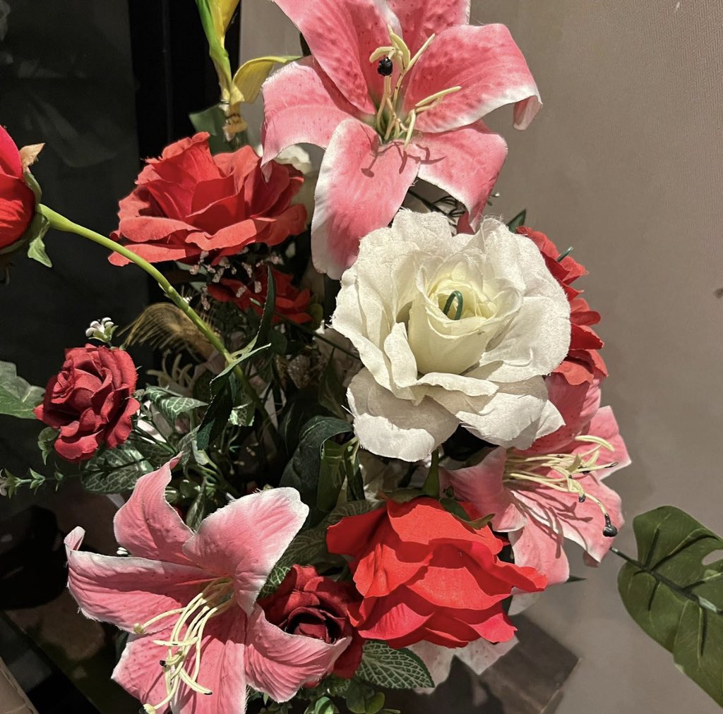 1Princess_HJO's tweet photo. Be like these #flowers 💐 and #Gleem https://t.co/gz9ZKoIkpm