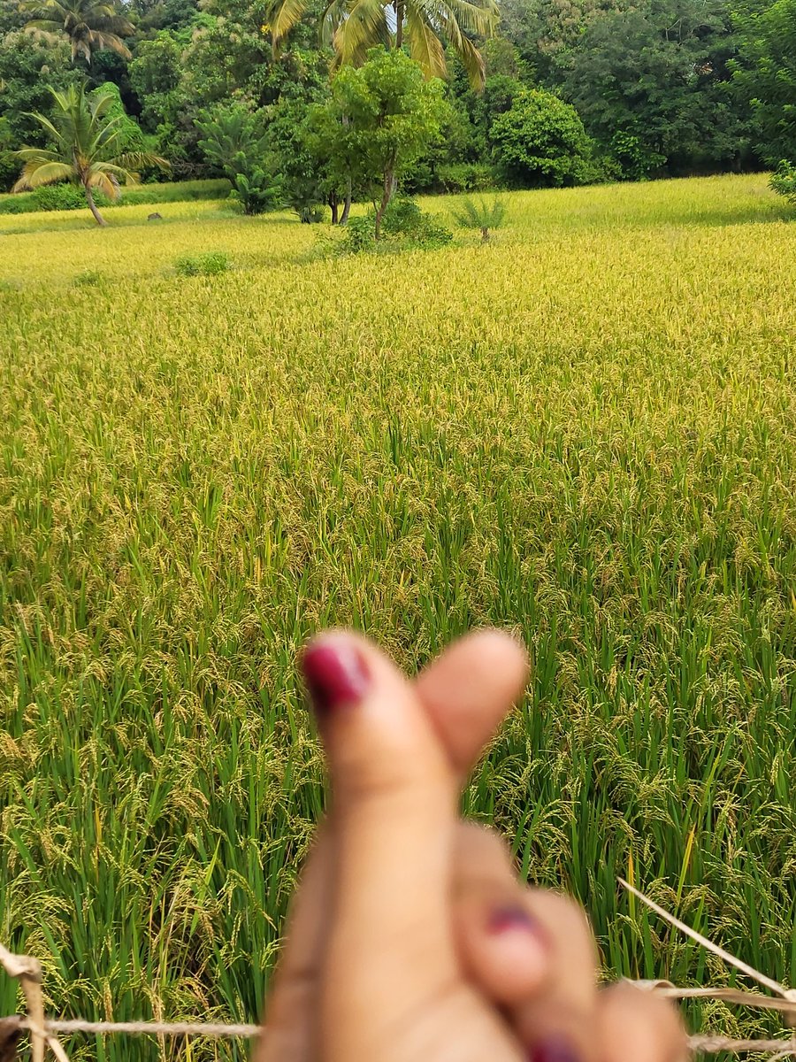 deekshamerlin's tweet photo. https://t.co/oUzlxHUYZt