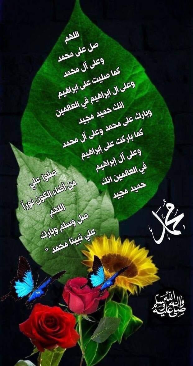 sultan sultan tweet media