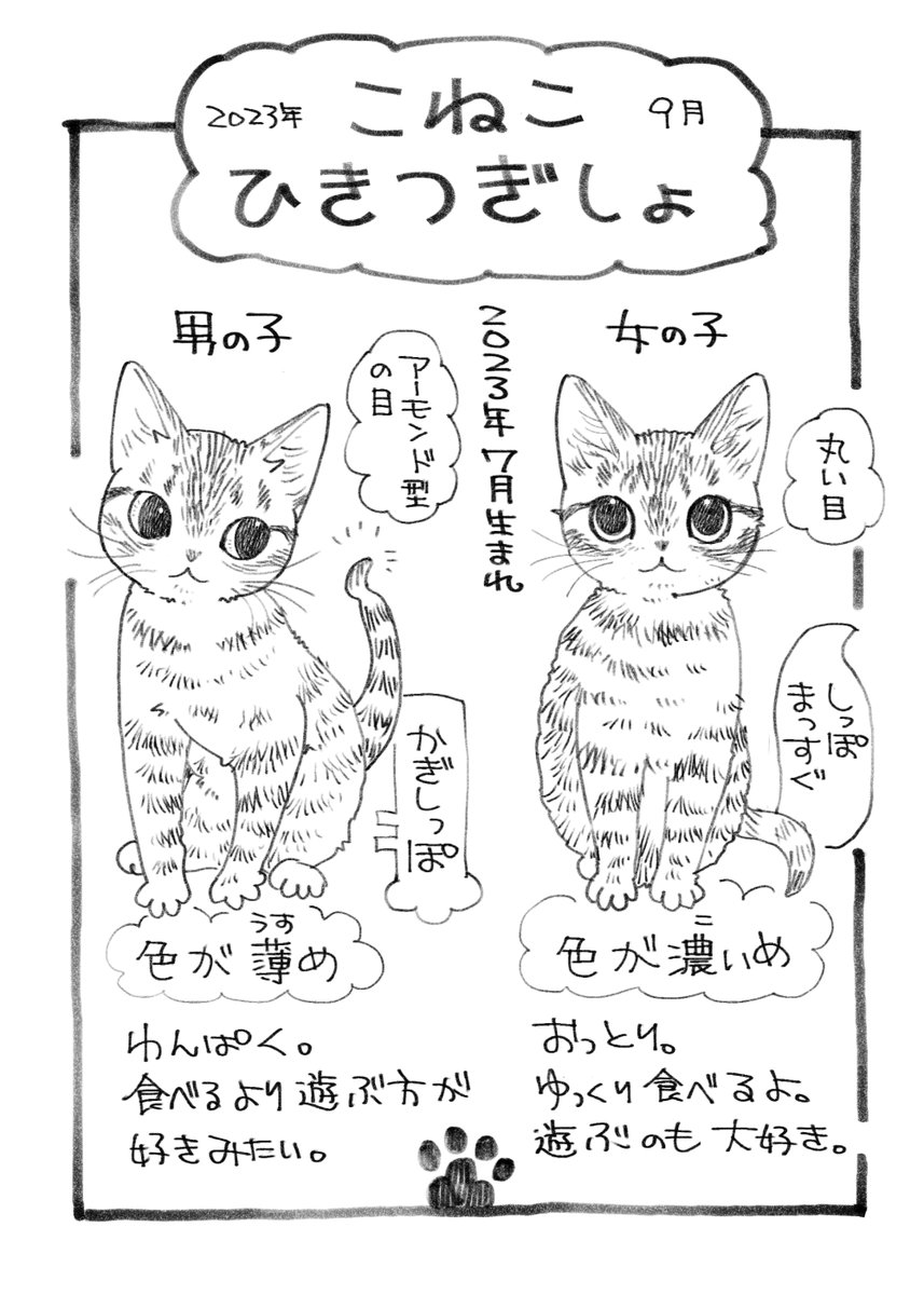 #今日の山野絵 #今日の山野漫画 「旅立つ猫が、遺された者たちが寂しくないようにあれこれイベントを準備していた(かもしれない)話。」 おまけの「こねこひきつぎしょ」その1 Tさんご家族へ5p×4部お渡ししました✨  女の子…プッカちゃんの方が活発になったみたいで😊 変わっていくんだなぁ…❤→