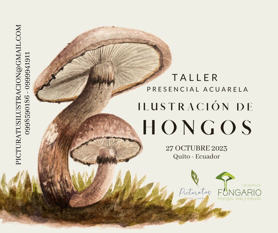 Noemí Cevallos tweet media