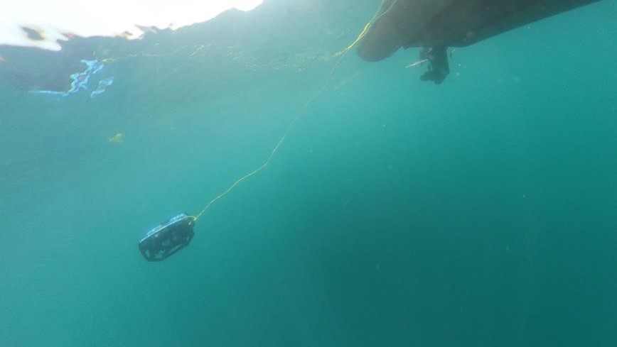 Seadream Education tweet media