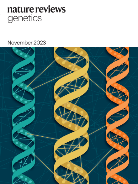 Very happy to see that our review on gene regulatory networks is being featured by <a href="/NatureRevGenet/">Nature Reviews Genetics</a> and that it inspired its cover! 🥳