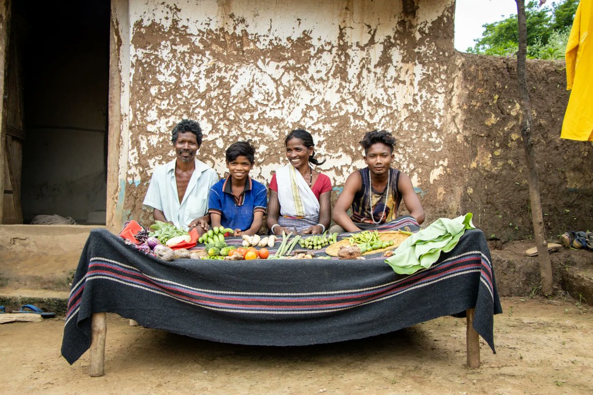 SWISSAID's tweet image. Rund 735 Millionen Menschen auf der Welt leiden noch immer an Hunger. Am heutigen #WorldFoodDay2023  erklärt Kavita Gandhi von #SWISSAID Indien, warum die #Agrobiodiversität im Kontext des #Klimawandels besonders wichtig ist, um den Hunger zu bekämpfen ➡️tinyurl.com/3exh9pjm