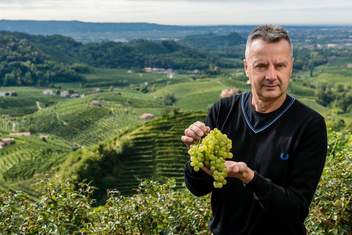 Come è andata la #vendemmia?  
La nostra nuova news sul sito vi offre la visione dell'a.d. ed enologo #ColVetoraz Loris Dall'Acqua. Buona lettura!
colvetoraz.it/it/news/la-ven…