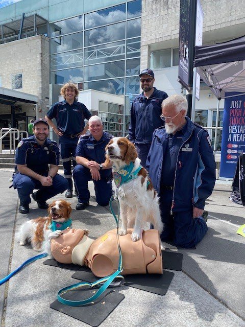 Belinda Flanagan tweet media