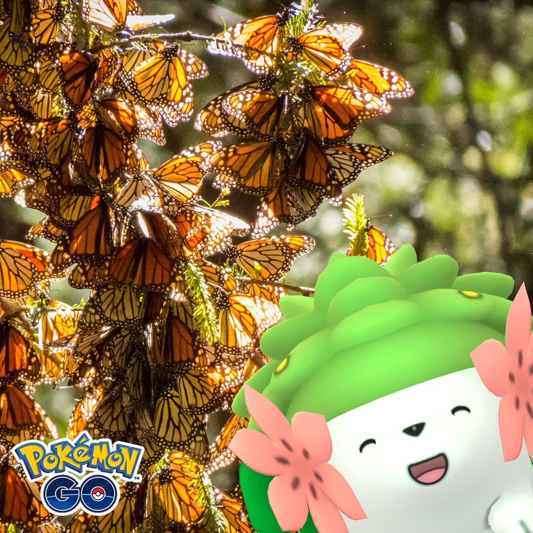 anyhowask95769's tweet photo. 🙊🙊🙊 #PokemonGOHoliday #Hisui #SeasonOfAlola #PokémonGO? #TeamValor #TeamGORocket #AprilFowlsDay  
Original: PokemonGOptBR https://t.co/vbao5wMkqc