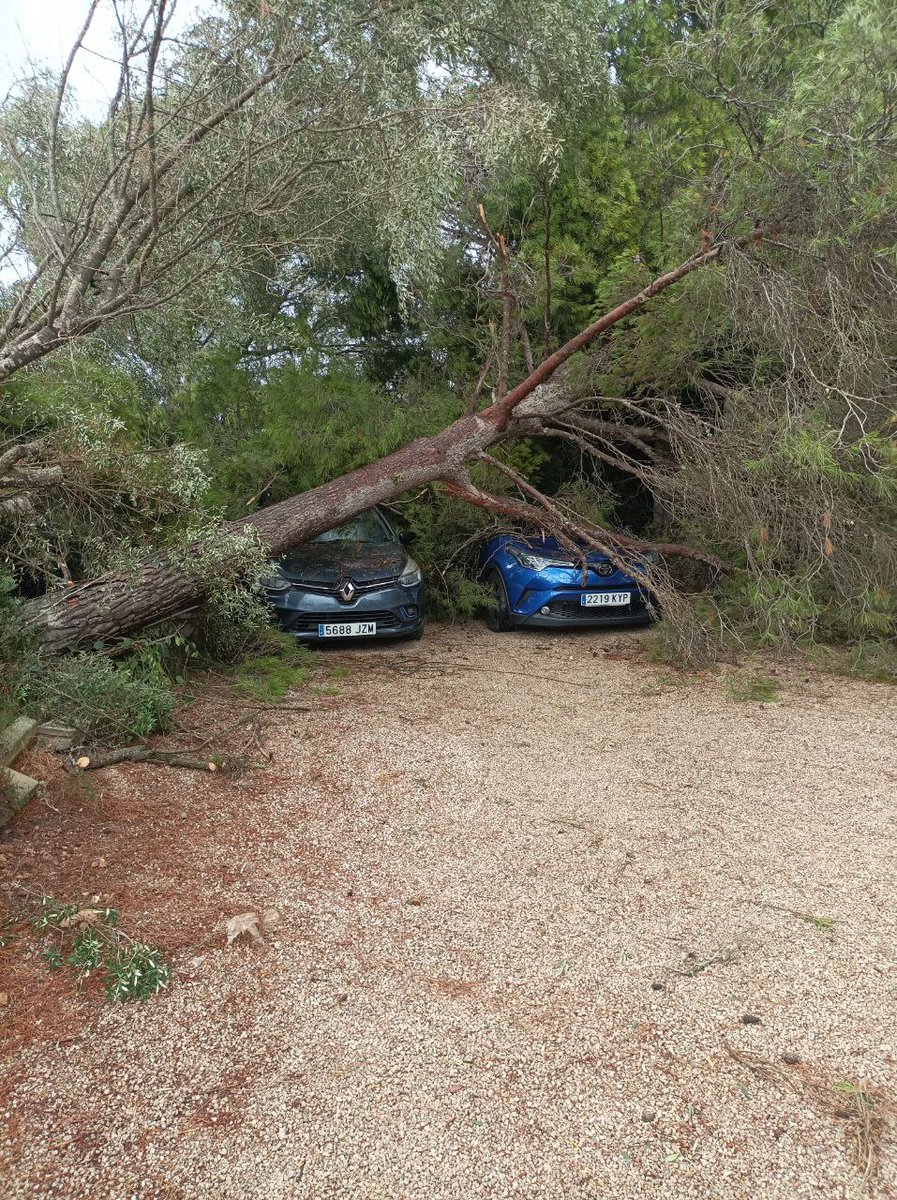 Emergencies_112's tweet photo. En les darreres 24 hores @Emergencies_112 ha gestionat un total de 104 incidents a causa de les fortes pluges: 97 a Mallorca (35 Palma, 17 Son Servera, 11 Inca, 8 Sant Llorenç, 6 Manacor, 4 Calvià, 2 Llucmajor, Algaida, Bunyola, Porreres, 1 Capdepera, Sa Pobla, Escorca, Sta. Margalida, Santanyí, LLubí, Pollença i Sant Joan), i 7 a Menorca (Maó). La majoria han estat per inundacions a la via pública (19), inundacions a la calçada (26), inundacions edifici/establiment (36), caiguda d'arbres (7), i els desbordaments del torrents de cala Millor i Canyamel.