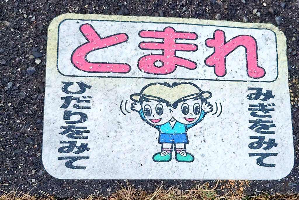 かなしい生き物かと思った 
