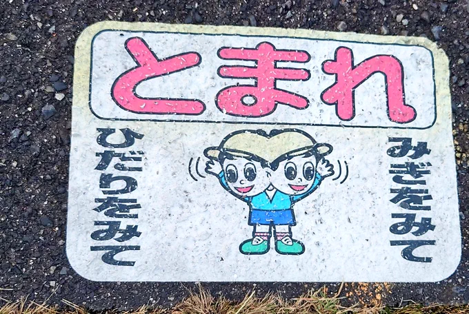 かなしい生き物かと思った 