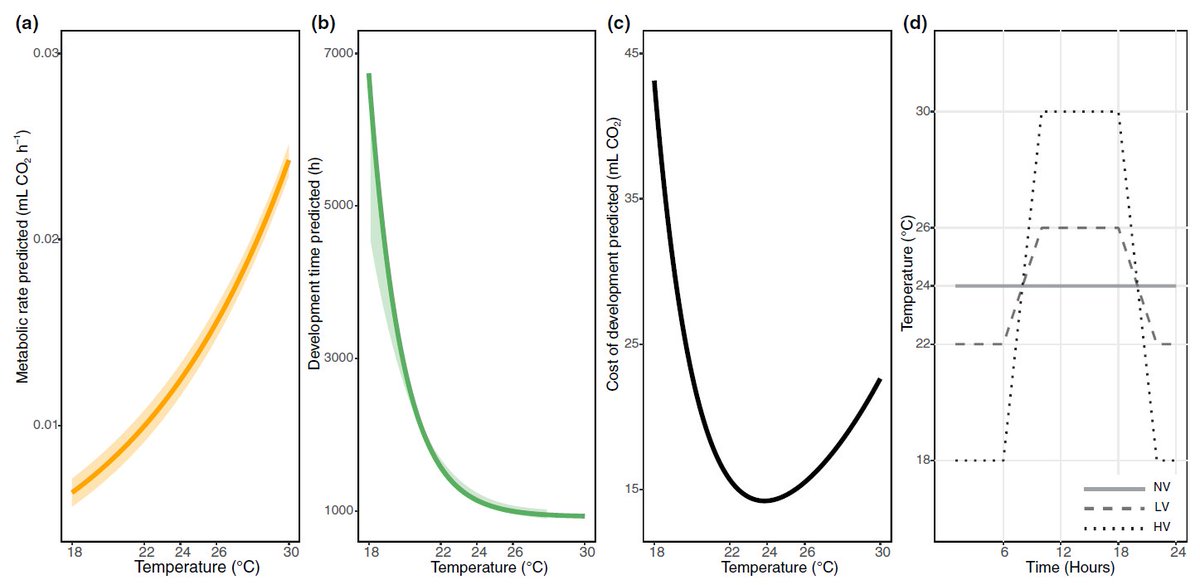 CyanistesNord's tweet photo. Glad seeing this out in @FunEcology, excellently led by @amandakpet. How do fluctuating temperatures alter the amount of energy required to complete development? Another study made possible by our friends @SableSys @SableSysEurope. Details👇#openaccess @lunduniversity @Biology_LU https://t.co/f8Ez85vuae