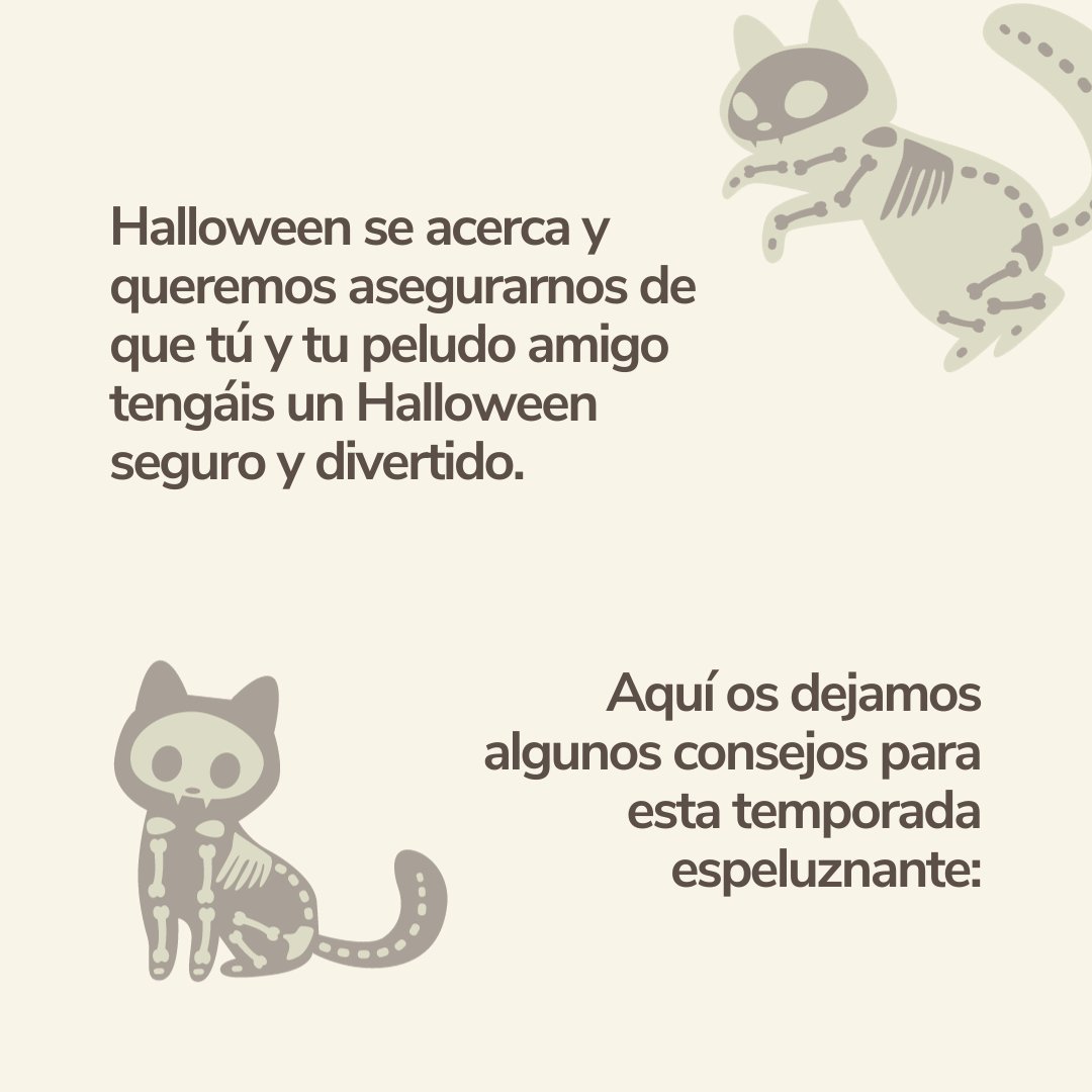 InnovaVet's tweet photo. ¡Prepara a tu peludo compañero para una temporada espeluznantemente divertida!
Descubre consejos para un Halloween seguro y lleno de diversión para ti y tu mascota.
#InnovaTips #InnovaVeterinaria #Prevencion #InnovaPrevencion #Consejos #Tips #HalloweenConMascotas #Catarroja https://t.co/Ezod5cOZuM
