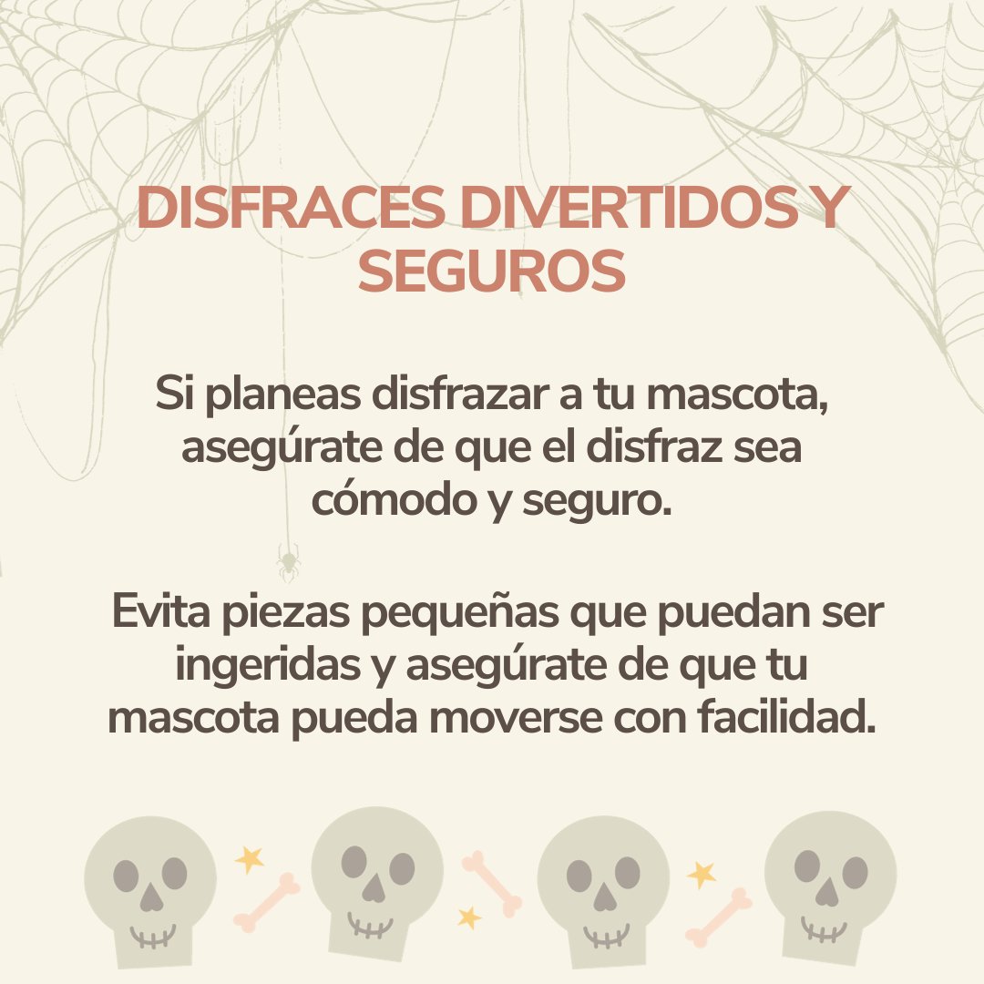 InnovaVet's tweet photo. ¡Prepara a tu peludo compañero para una temporada espeluznantemente divertida!
Descubre consejos para un Halloween seguro y lleno de diversión para ti y tu mascota.
#InnovaTips #InnovaVeterinaria #Prevencion #InnovaPrevencion #Consejos #Tips #HalloweenConMascotas #Catarroja https://t.co/Ezod5cOZuM