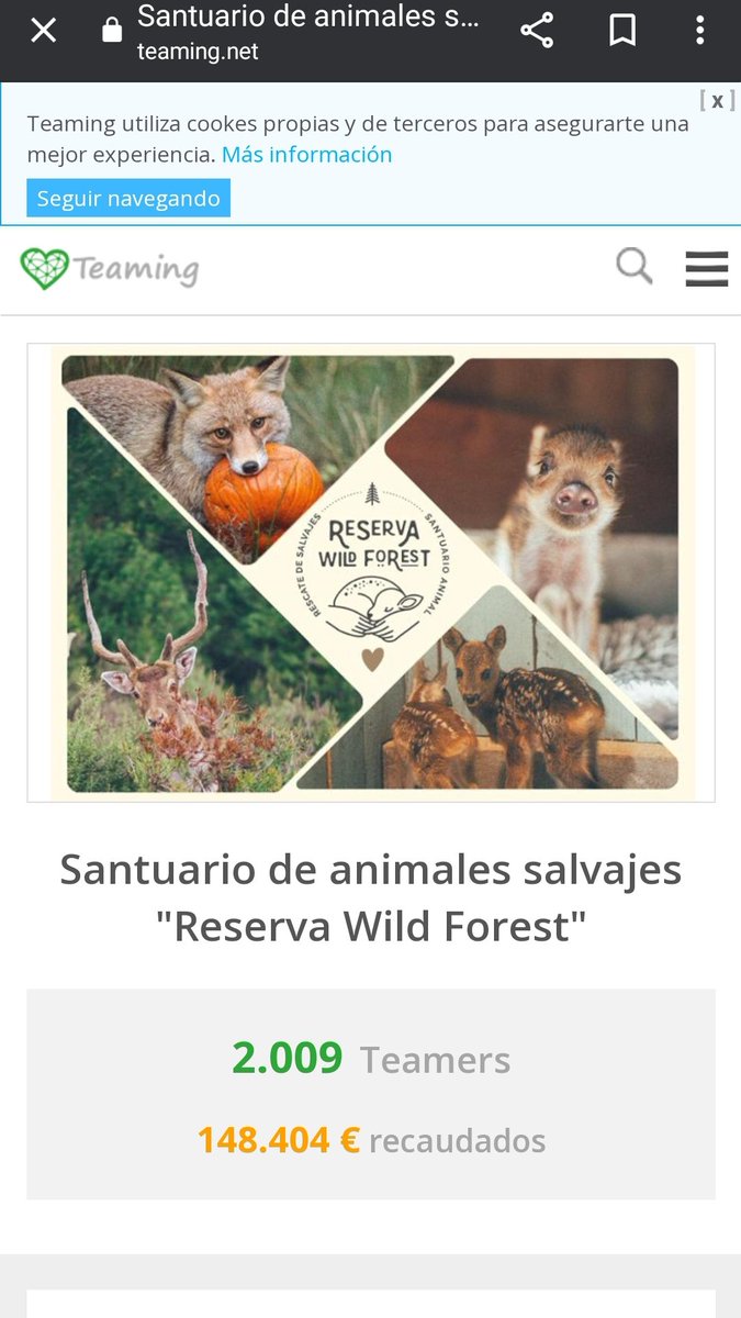 AfectadosRWF's tweet photo. El negocio de la pena! Es lo que funciona para ganar dinero sin dar las explicaciones REALES de lo que ocurre y lo que se le pide a #Dulcineastudios y #ReservaWildForest
#subiendoteamers #distorsionandolarealidad https://t.co/mWWfUiq96Z