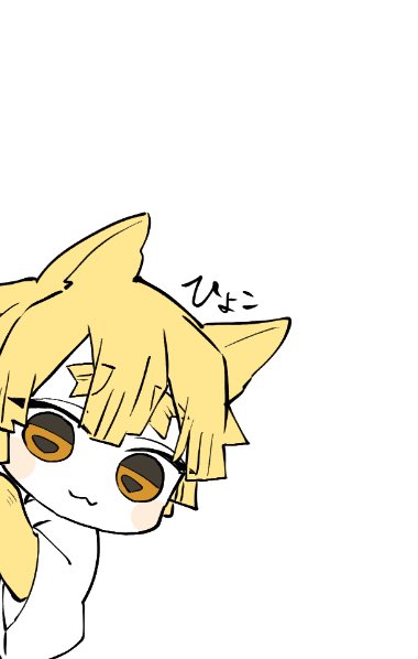 ぽんこん
