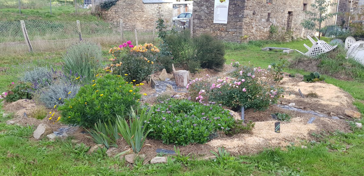 SylvainChapus's tweet photo. @elonmusk Subject: Request for Patronage for my Ecological Restoration Project of a 17th Century Farmhouse

Dear Elon Musk,

I am writing to you with great admiration for your commitment to innovation and the environment. I am reaching out to seek your support for a project https://t.co/UJeW0PUX4Z