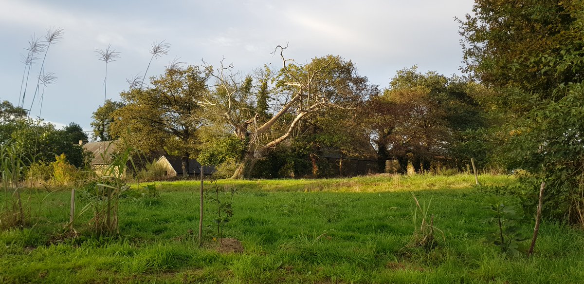 SylvainChapus's tweet photo. @elonmusk Subject: Request for Patronage for my Ecological Restoration Project of a 17th Century Farmhouse

Dear Elon Musk,

I am writing to you with great admiration for your commitment to innovation and the environment. I am reaching out to seek your support for a project https://t.co/UJeW0PUX4Z