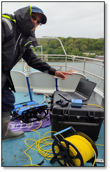 Seadream Education tweet media