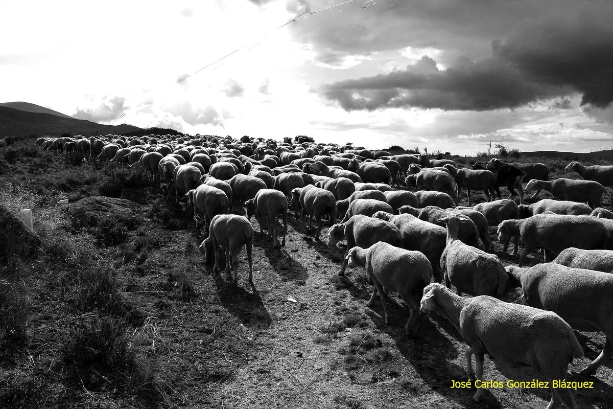 Con la Ley 3/1995, de Vías Pecuarias, se consideran bienes de dominio público, con titularidad en las Comunidades Autónomas. Protección que se extiende también a los descansaderos, abrevaderos, majadas e instalaciones anexos a los trazados de las vías.