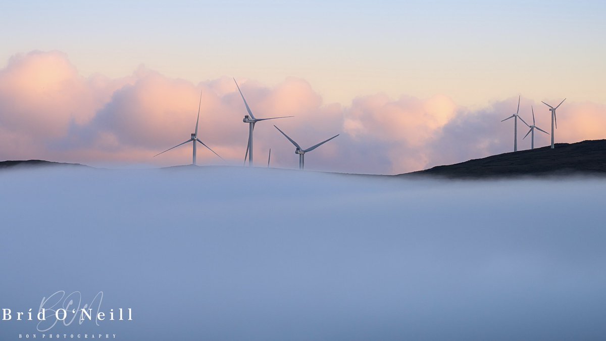 NeillBrid's tweet photo. Poking out above the low lying fog on the mountain top these wind turbines are busy working away.
Beautiful soft morning sunrise.
Happy Monday folks !
#windturbine #windpower #fog #lowlyingfog #mountaintops #sunrise #sunrisephotography #BONPhotography https://t.co/KoWYoju3It