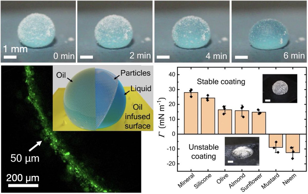 Application-tailored encapsulated droplets... Researchers <a href="/iiscbangalore/">IISc Bangalore</a> use oil-infused #particle #shells for #bio-/#chemistry in confined spaces. 
<a href="/NatureComms/">Nature Communications</a> <a href="/Rutvik_Lathia/">Rutvik Lathia</a> <a href="/prosenjit_cens/">Prosenjit Sen</a> <a href="/GroupProsen/">ProSen Group</a> <a href="/CeNSEatIISc/">CeNSEatIISc</a> <a href="/Bio_IISc/">Biological Sci, IISc</a> <a href="/BE_IISc/">BE, IISc</a> 
Out now! 👉  nature.com/articles/s4146…