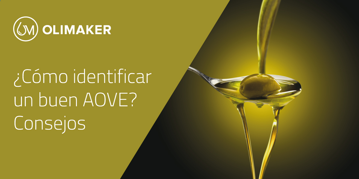 🆕📢¿Cómo identificar un buen aceite de oliva? Consejos prácticos 🌿

¿Estás listo👌 para leer leer el nuevo post👉 de esta semana?

🔗 olimaker.com/identificar-bu…

#olimaker #aove #identificarunbuenacietedeoliva