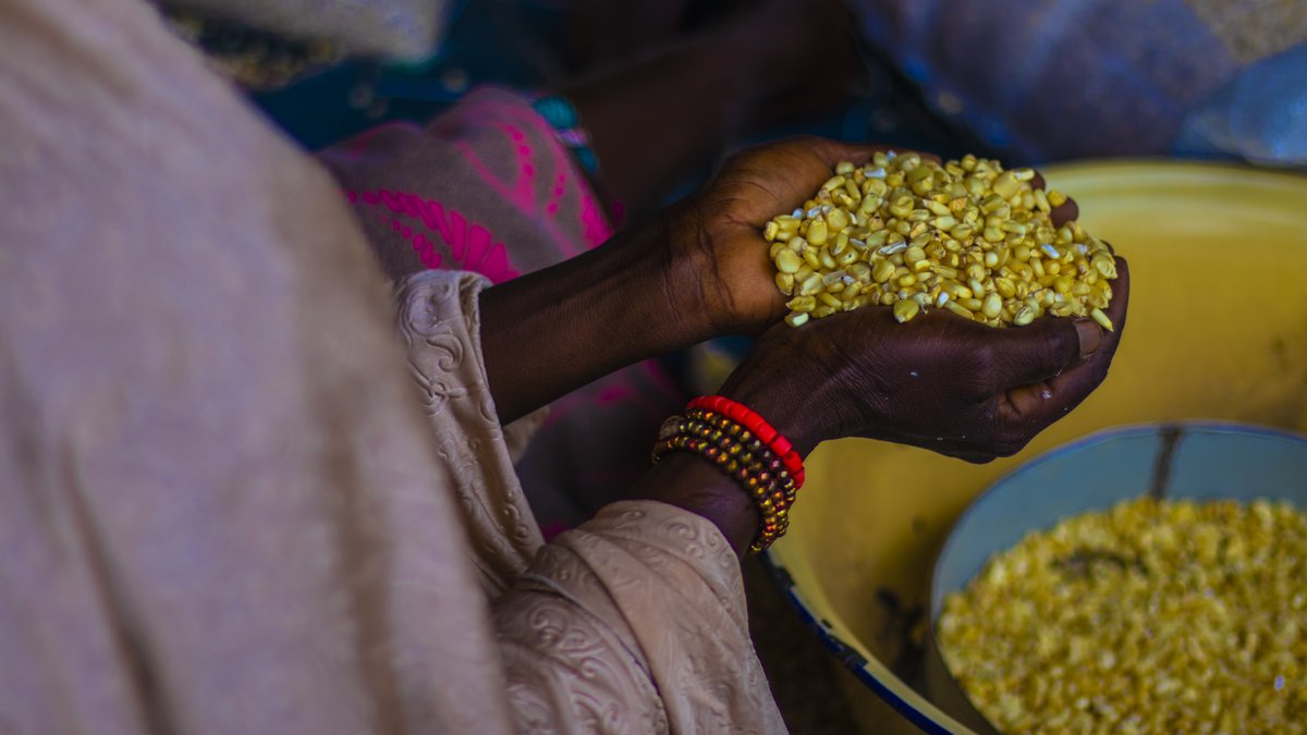 On  #WorldFoodDay, we celebrate all the farmers in West Africa with whom we're cultivating sustainable practices and community empowerment, leading us to a harvest of quality nutrition and food security.

Learn more about our work in Food Security here: westafricatradehub.com/news/?filter=44