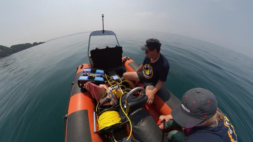 Seadream Education tweet media