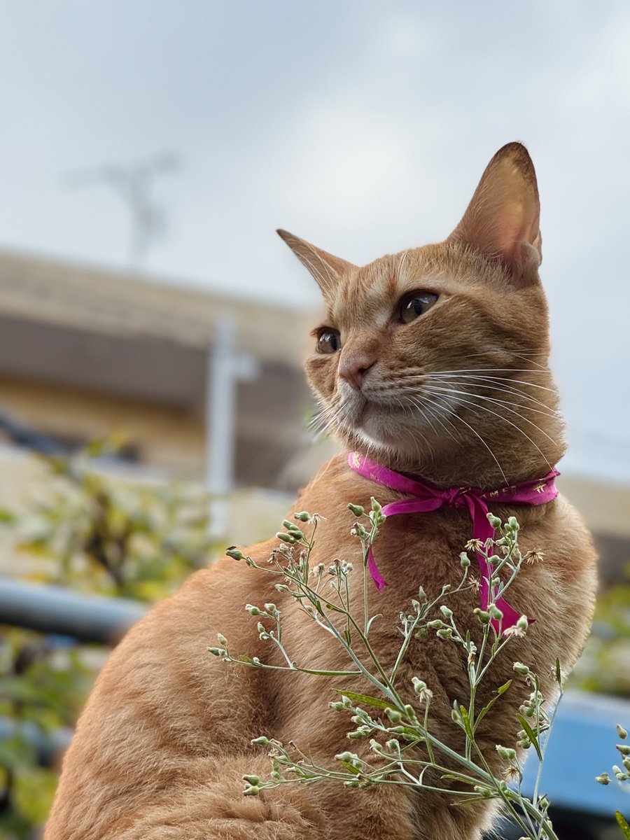 Danielle Baskin tweet media