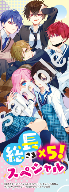 総長さま、溺愛中につき。1～11.5＋公式ファンブック＋総長さま！×5