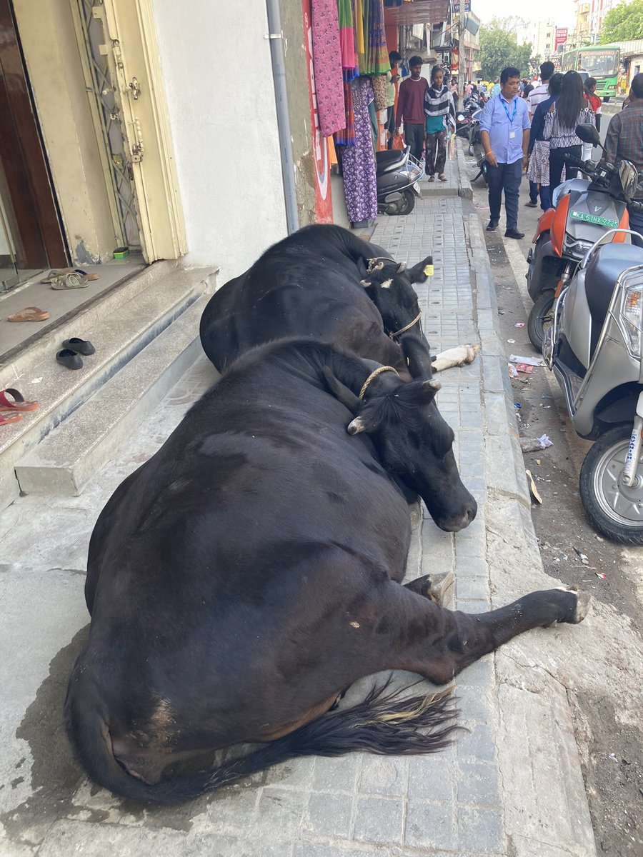 CarersWorldwide's tweet photo. Michelle from our staff team and one of our trustees @Maria12Andrews have just arrived in India. They’ll be meeting with our local #charity partners and celebrating #CarersDay and they’re excited for a brilliant week 💜🧡 https://t.co/PzRV0OT7BL
