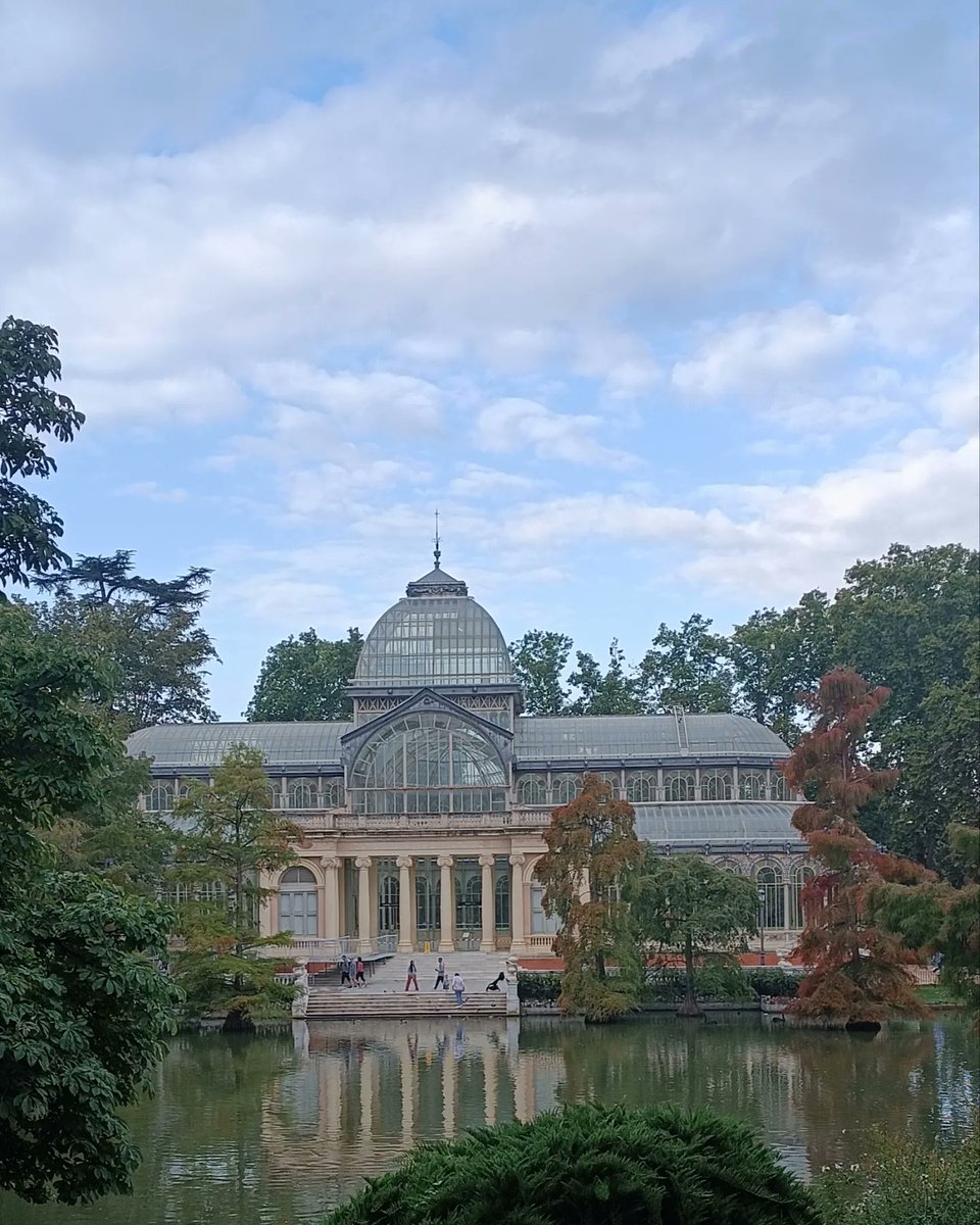 Hola queridos amigos y amigas, el otoño se empieza a notar en los cipreses calvos ( ciprés de los pantanos) del lago del palacio de Cristal del Retiro, una maravilla. Si podéis, no os lo perdáis.