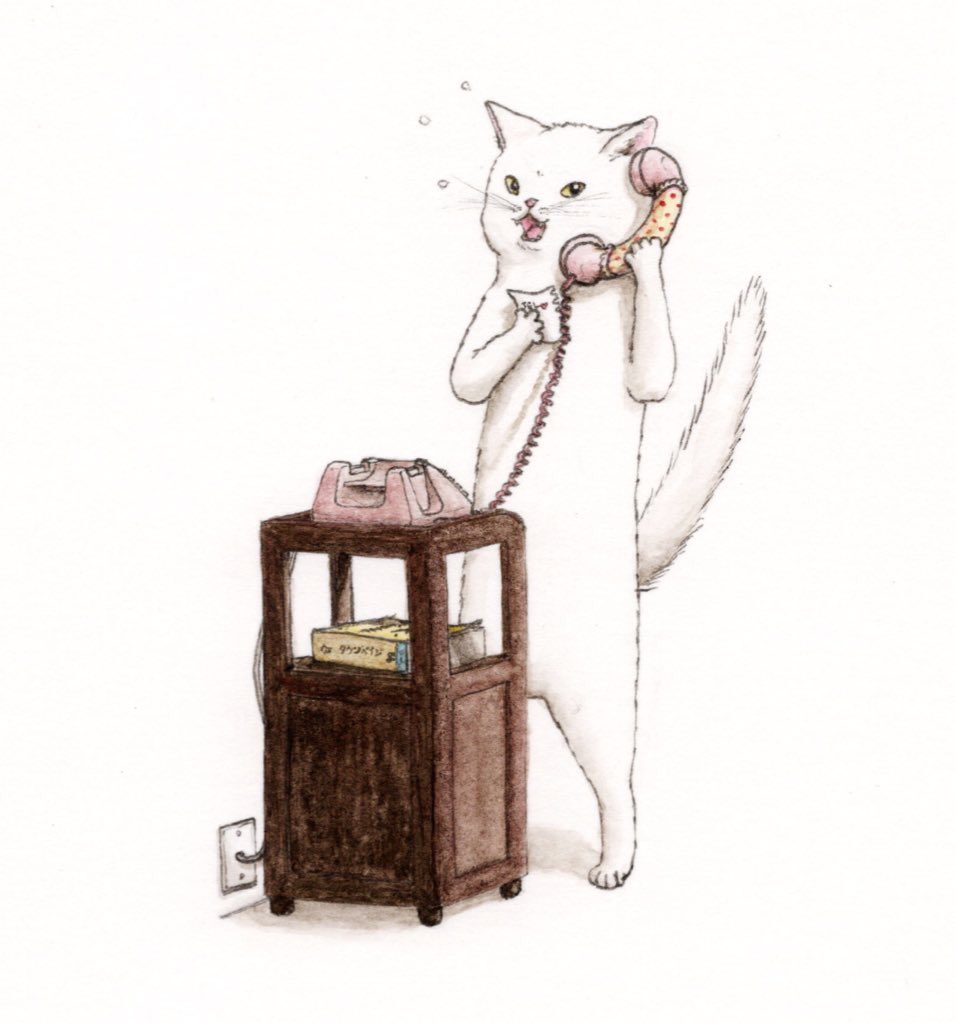 no humans cat phone animal focus white background talking on phone traditional media  illustration images