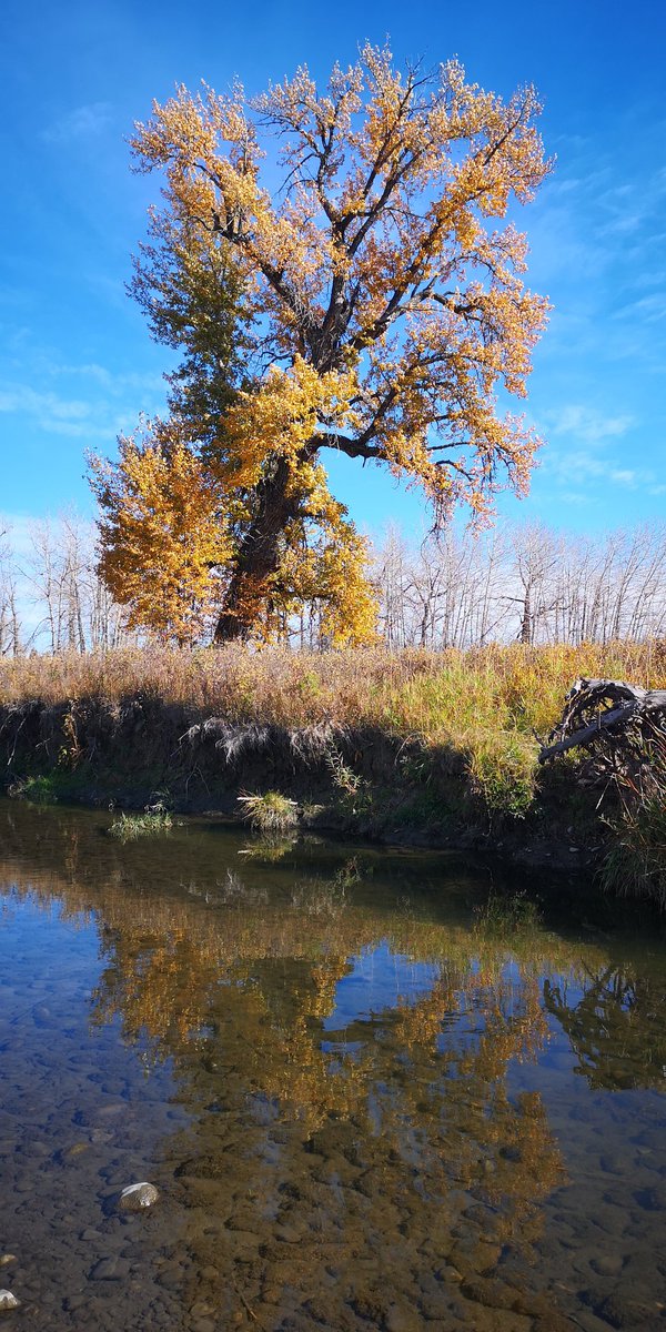 Fish Creek Provincial Park, Calgary AB