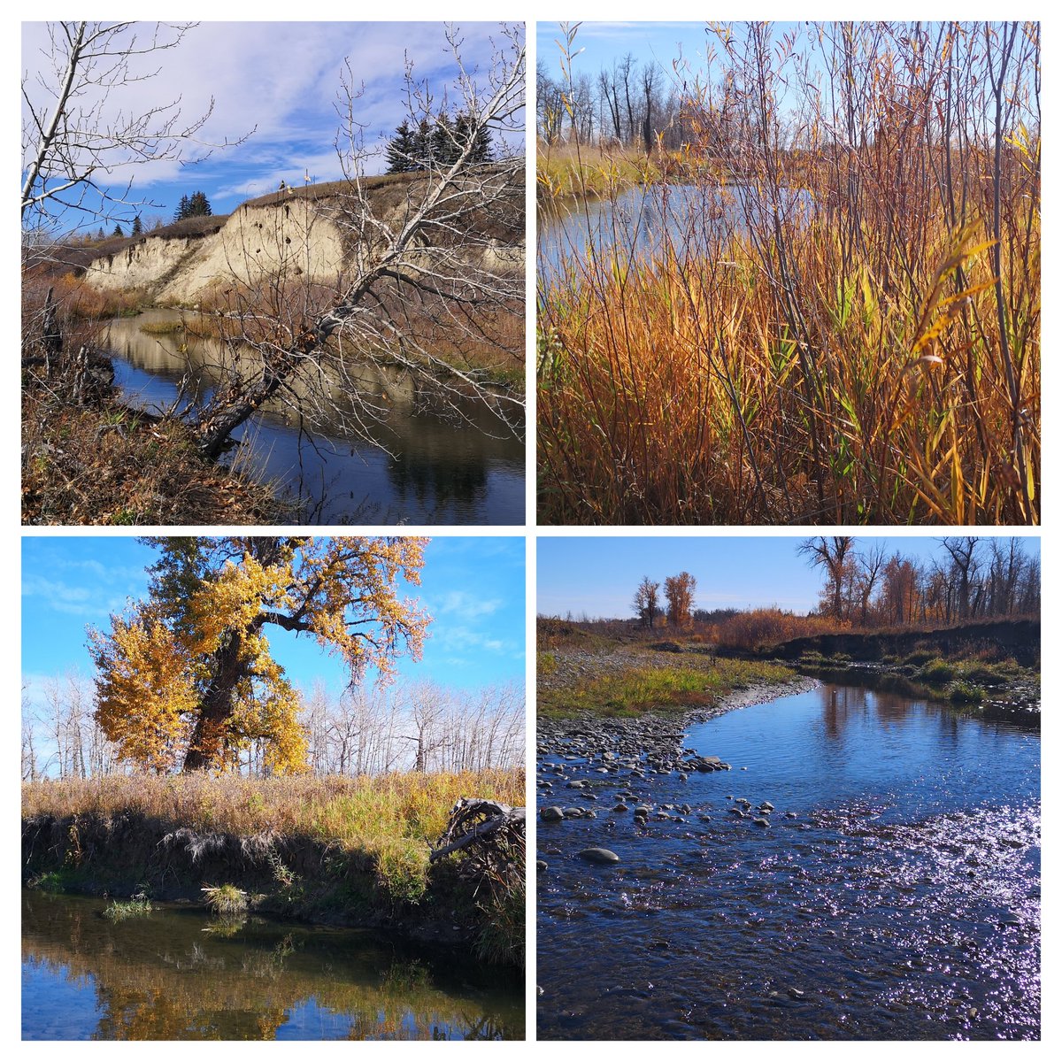 Fish Creek, Calgary AB