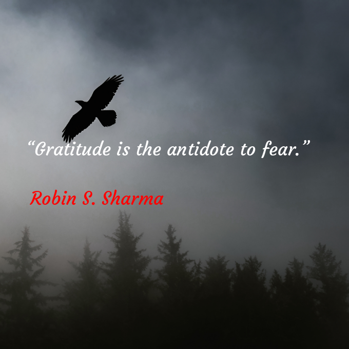 Qu0tes108's tweet photo. 📖“Gratitude is the antidote to fear.”
🖋Robin S. Sharma
#RobinSSharma
@RenaiArt108
@A8_NT_108 https://t.co/dKsDRbSyUT
