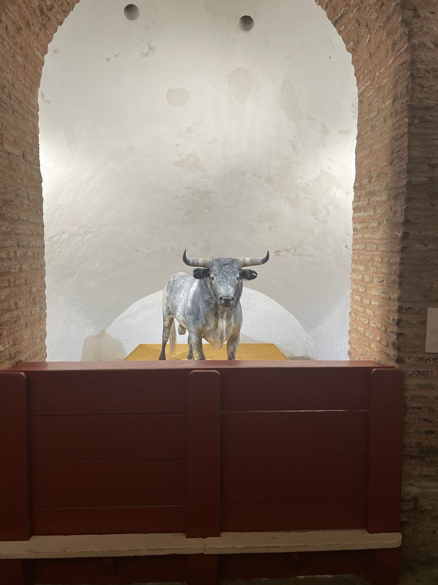 Visiting the bull ring “La Maestranza” in Sevilla.