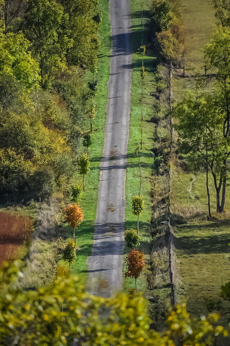 Tompointcom tweet media