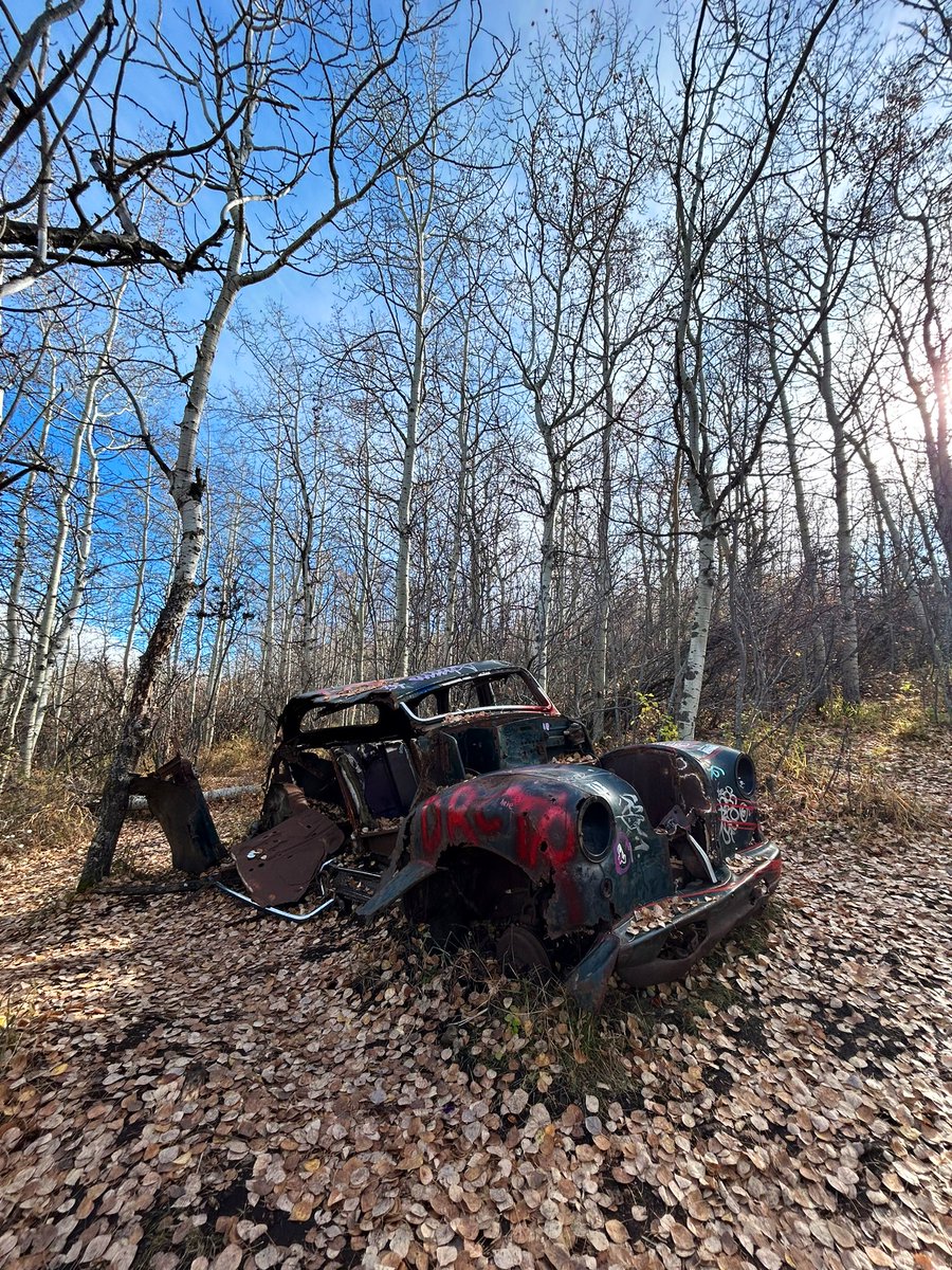 Family outing on a beautiful Sunday morning - just what I needed! 

#yyc