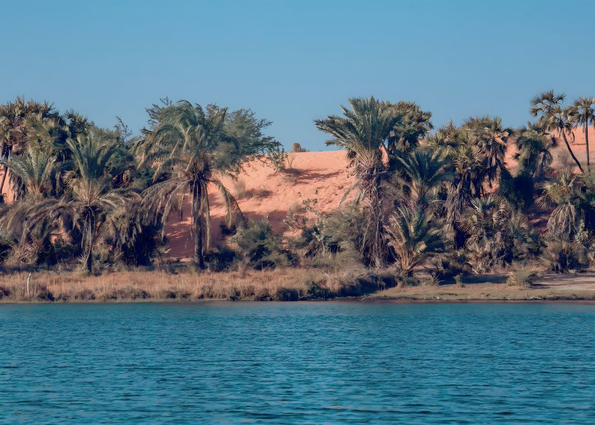 Tudun Tsira (@tuduntsira) on Twitter photo FOLLOW <a href="/tuduntsira/">Tudun Tsira</a> to Discover the culture, cuisine, architecture, history, and beautiful people of Northern Nigeria. FOLLOW <a href="/tuduntsira/">Tudun Tsira</a> to Discover the culture, cuisine, architecture, history, and beautiful people of Northern Nigeria.