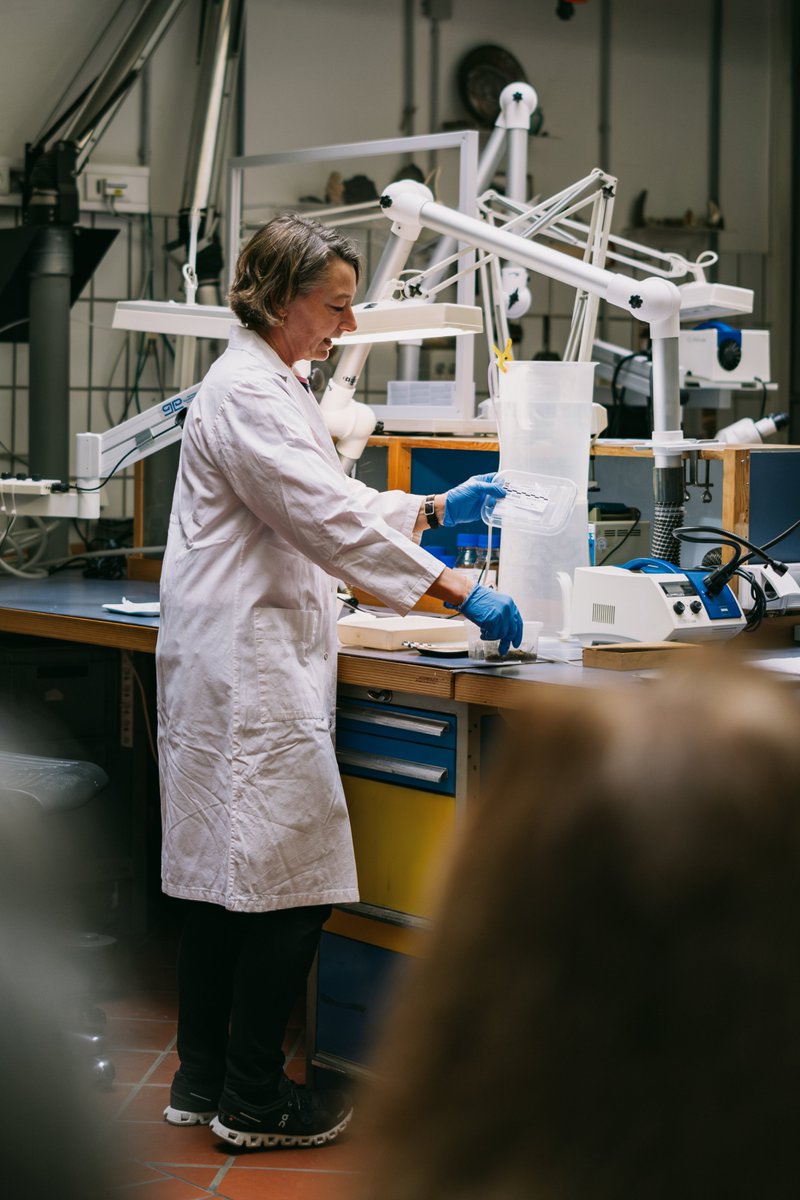 Gestern war #TagderRestaurierung und die Restauratorinnen und Restauratoren vom BLfD waren mit dabei. Nicht nur interessant für alle, die wissen wollten, was man als Restaurator*in eigentlich macht, sondern auch für die, die wissen wollten, wie es bei uns im BLfD aussieht.