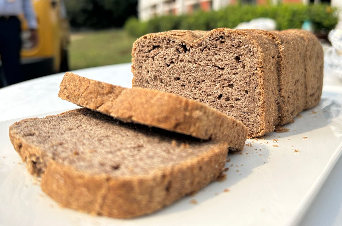 ICRISAT (@icrisat) on Twitter photo This year, we are celebrating #WorldFoodDay by harnessing the power of #millets to combat #climatechange and promote efficient #water usage!
Today, we launched the #FingerMillet bread-making technology from <a href="/AIPICRISAT/">AIP-ICRISAT</a> in collaboration with #ICRISAT's Housing and Food Services. This year, we are celebrating #WorldFoodDay by harnessing the power of #millets to combat #climatechange and promote efficient #water usage!
Today, we launched the #FingerMillet bread-making technology from <a href="/AIPICRISAT/">AIP-ICRISAT</a> in collaboration with #ICRISAT's Housing and Food Services.